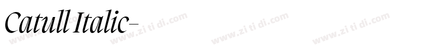 Catull Italic字体转换